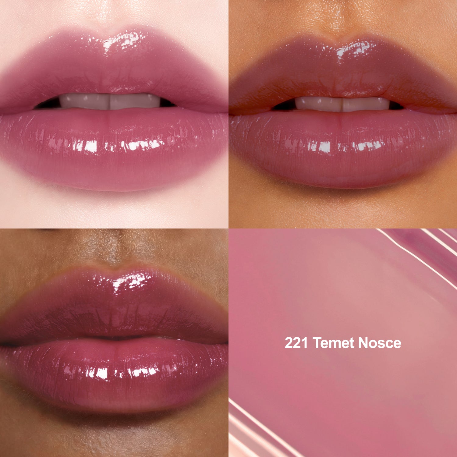 Blur-Glowy Lip Tint – Dinto